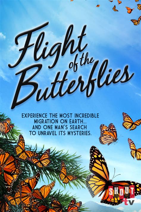 the flight of the butterfly